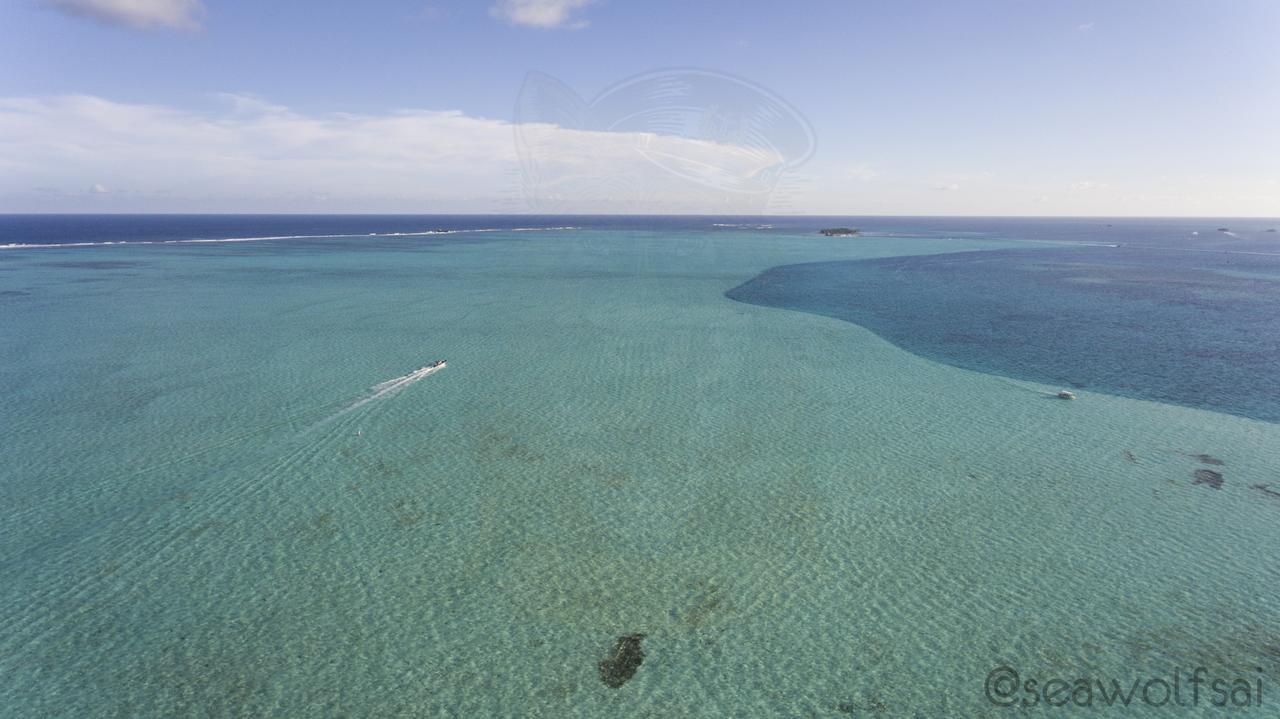 Sea Wolf Apartments San Andres  Bagian luar foto